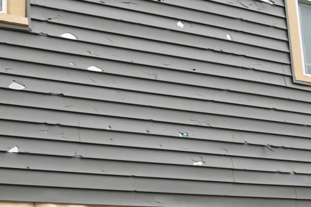 Trusted Palisade, CO Junk Removal Experts